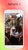 Pitbull Wallpapers screenshot 5