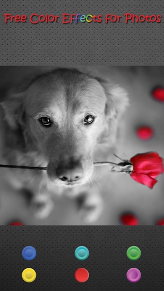Free Color Effects for Photos - Preview 4