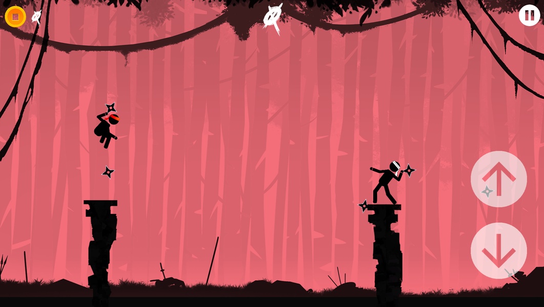 The Ninja - Preview 1