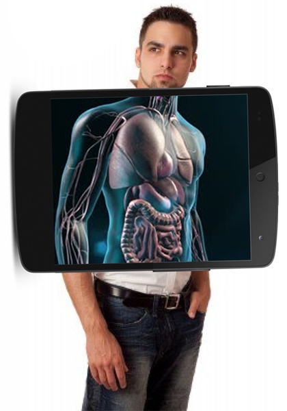 Xray Photo - Preview 2
