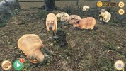 Capybara Zoo screenshot 9