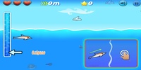 Dolphin screenshot 3