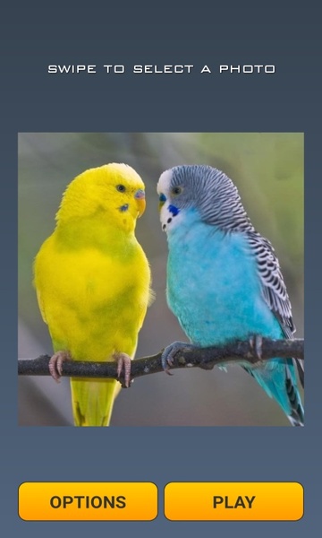 Cute Birds Puzzle - Preview 3