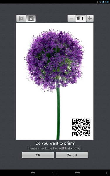 LG Pocket Photo - Preview 15