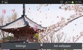 Sakura Garden Live Wallpaper screenshot 2