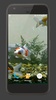 Koi Fish Tank Video Wallpaper screenshot 2
