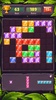 Block Puzzle screenshot 9