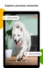 Barkio: Dog Monitor & Pet Cam screenshot 6