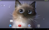 Peper Kitten screenshot 3