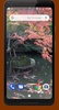 Japanese Koi Pond 4K Video LWP screenshot 4