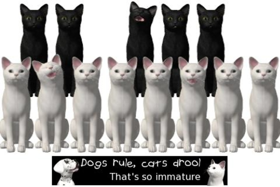 Piano Cats Free - Preview 1