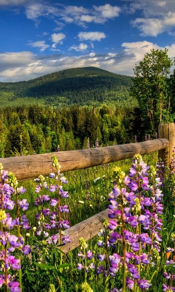 Landscape Live Wallpaper - Preview 3