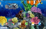 Coral Fish Live Wallpaper screenshot 3