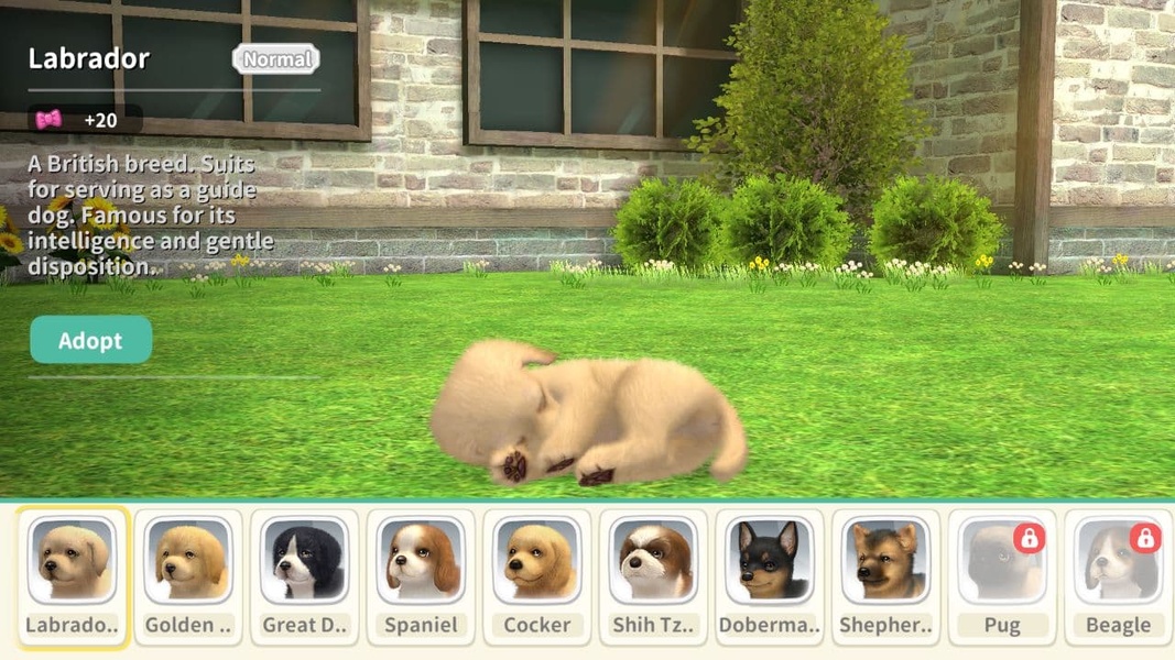 My Dog - Preview 10