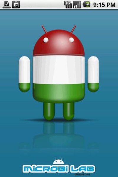 Made In Hungary - Preview 5