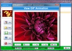 SSuite Office Gif Animator screenshot 4