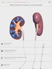 V. Anatomy screenshot 14