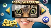 Eyes Simulator screenshot 2