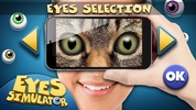 Eyes Simulator screenshot 2