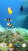 Colorful Fishes Live Wallpaper screenshot 10