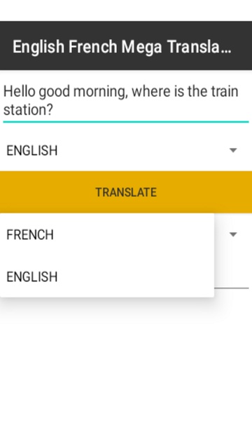 English French Mega Translator - Preview 1