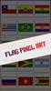 Flag Pixel Art Color by Number screenshot 6