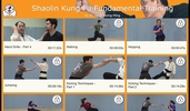 Shaolin Kung Fu screenshot 13