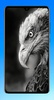 Eagle Wallpaper HD screenshot 1