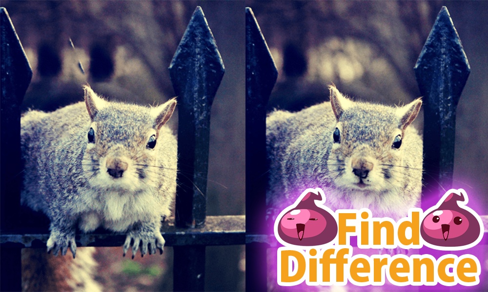 Find Difference 10 - Preview 2