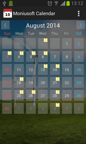 Moniusoft Calendar - Preview 16