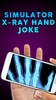 Simulator X-Ray Hand Joke screenshot 1