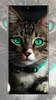 cat wallpaper screenshot 5