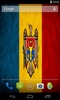 Magic Flag: Moldova screenshot 3