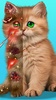 Cat ASMR Spa screenshot 6
