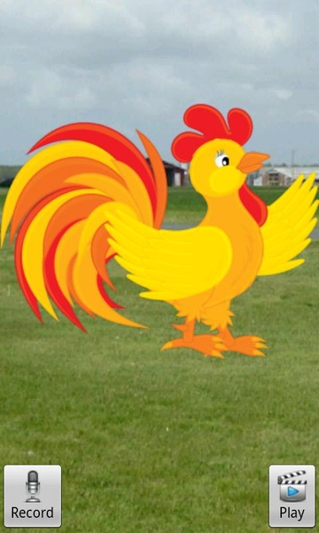 Talking Rooster - Preview 2