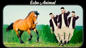 Echo Animal Effect : best echo mirror with animal screenshot 3