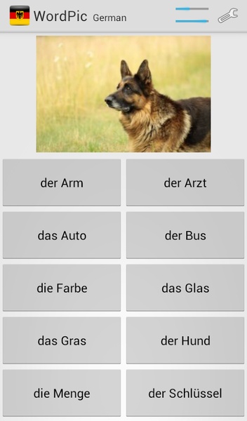 WordPic German - Preview 10