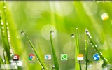 Spring Live Wallpaper HD screenshot 4