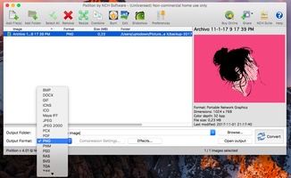 Doxillion Plus for Mac screenshot 3