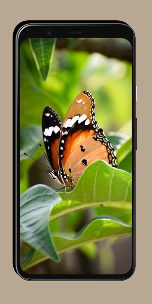 Butterfly Wallpaper OurcreativeApps - Preview 7