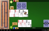 Cribbage Pro screenshot 22