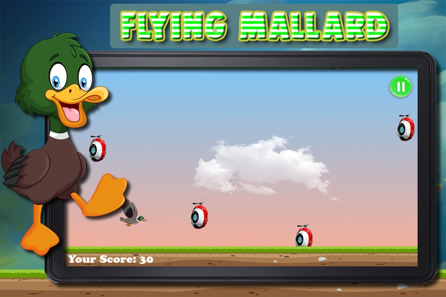 Flying Mallard - Preview 5