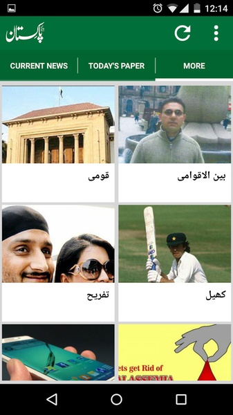 Daily Pakistan - Preview 4