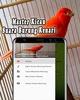 Suara Burung Kenari Offline screenshot 6