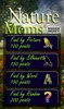 Hidden Object - Nature Moms Free screenshot 5