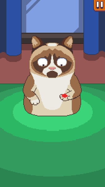 Grumpy Cat