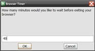Browser Timer screenshot 2