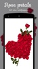 Rose petals 3D Live Wallpapers Free screenshot 6