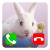 Fake Call Easter Bunny screenshot 1