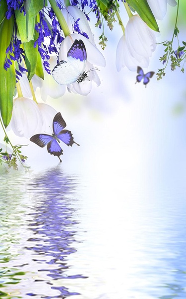 Butterfly Live Wallpaper - Preview 7